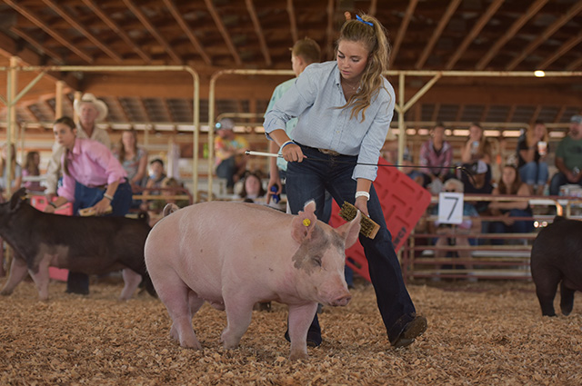 Southeast-Weld-County-Jr-Fair-&-Rodeo-10