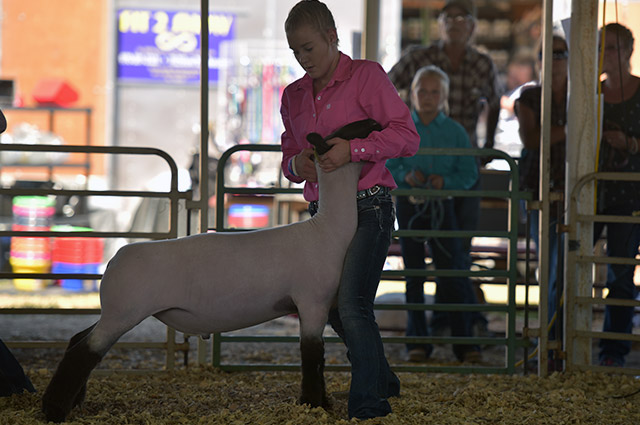 Southeast-Weld-County-Jr-Fair-&-Rodeo-4