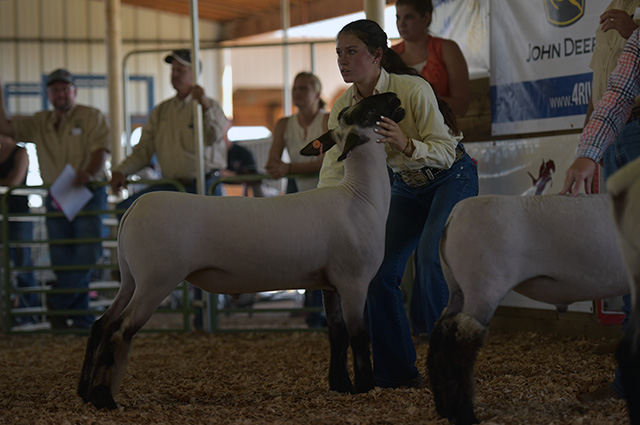 Southeast-Weld-County-Jr-Fair-&-Rodeo-5