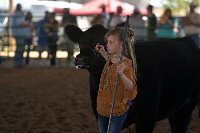 Southeast-Weld-County-Jr-Fair-&-Rodeo-6
