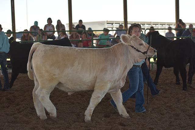 Southeast-Weld-County-Jr-Fair-&-Rodeo-7