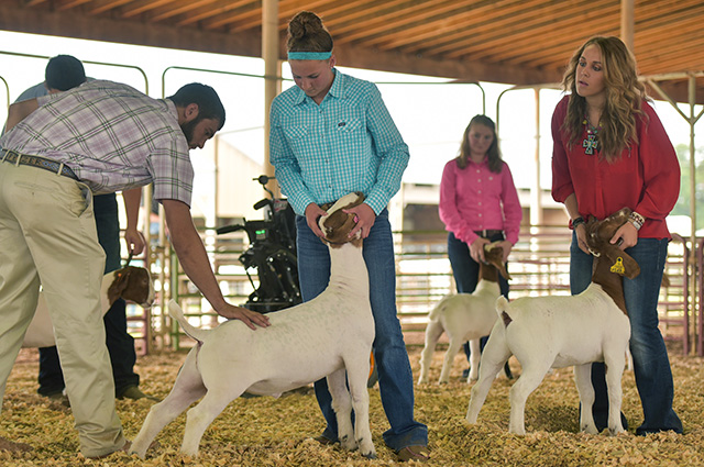 Southeast-Weld-County-Jr-Fair-&-Rodeo-9