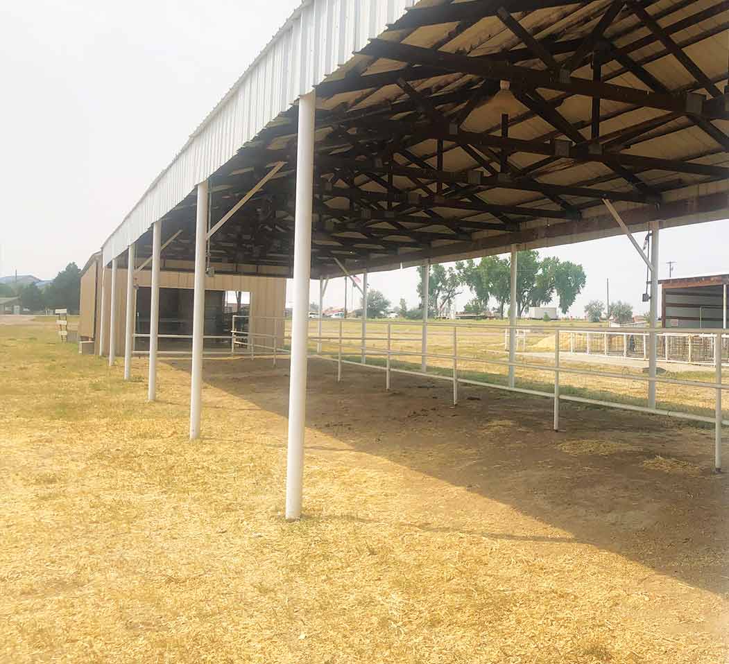 Cattle-Barn-and-Holding-Pen-for-Rent