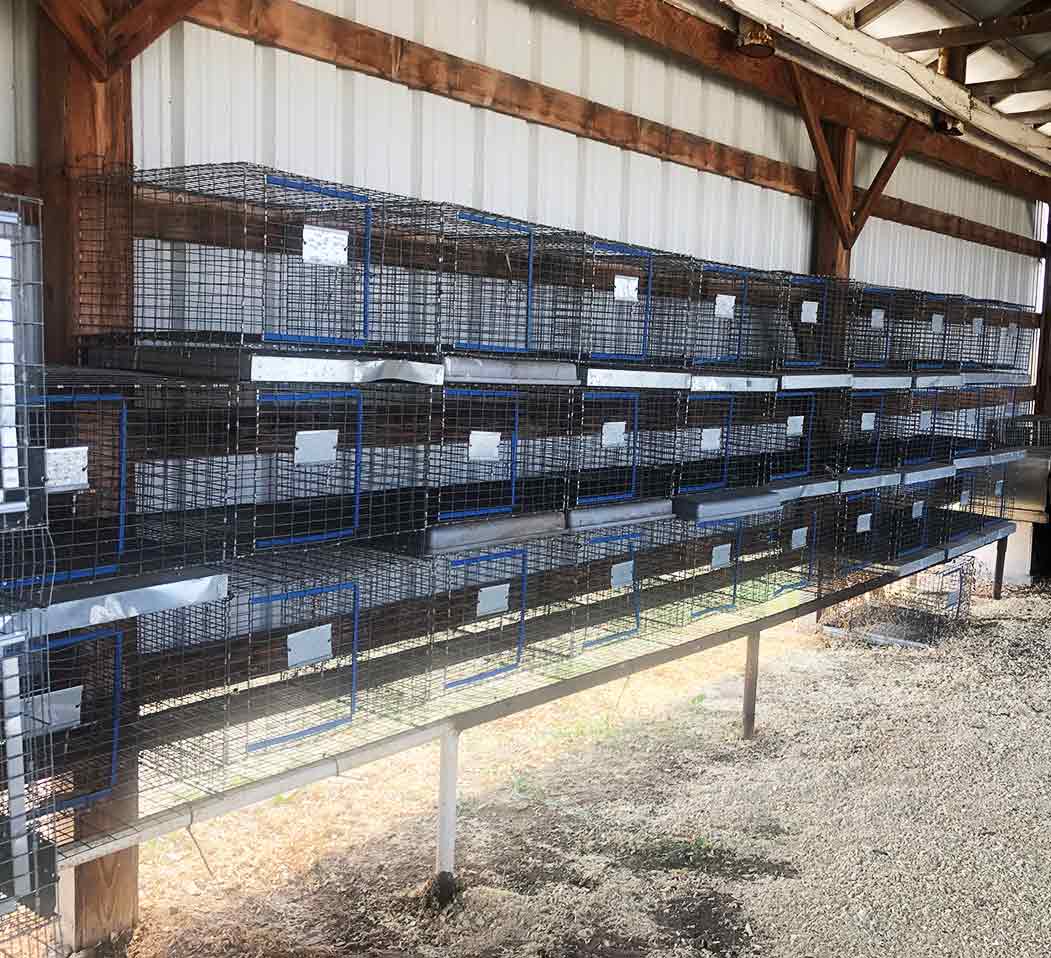Poultry-&-Rabbit-Barn-for-Rent-2