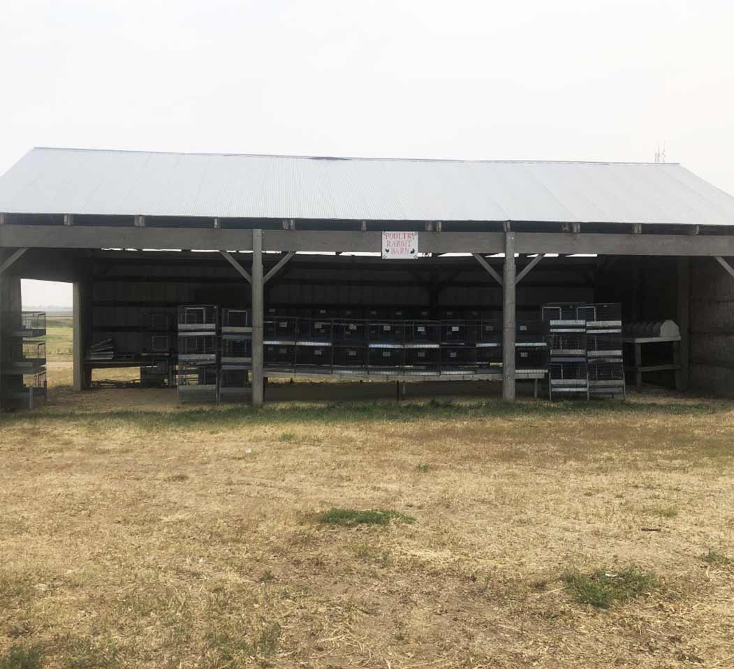 Poultry-&-Rabbit-Barn-for-Rent